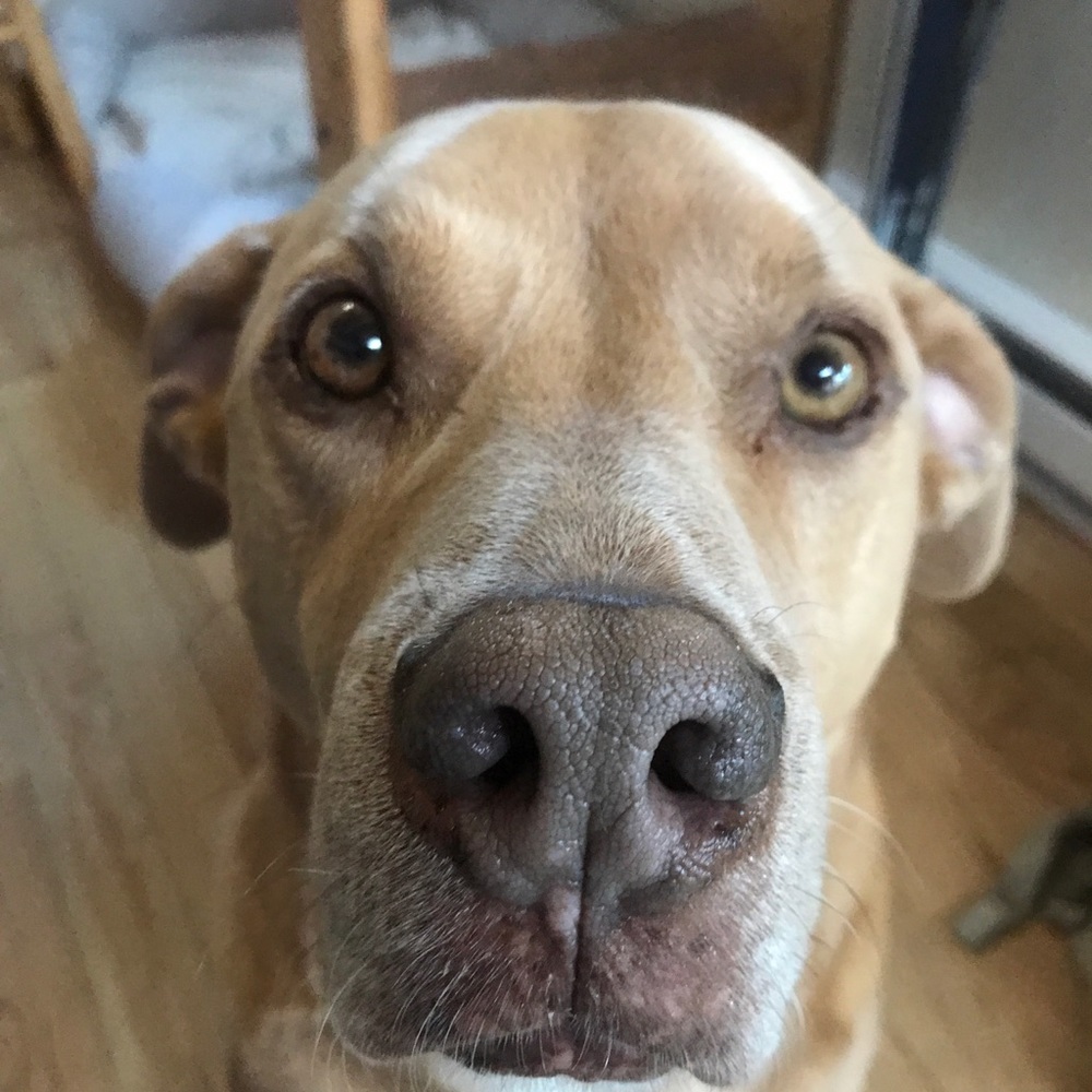 Meet your Posher, Charles